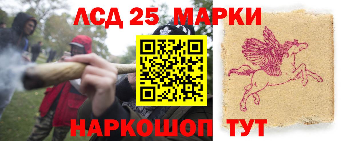 LSD-25 экстази кислота  Вход с VPN  Новозыбков  LSD-25 экстази  ЛСД экстази ecstasy 