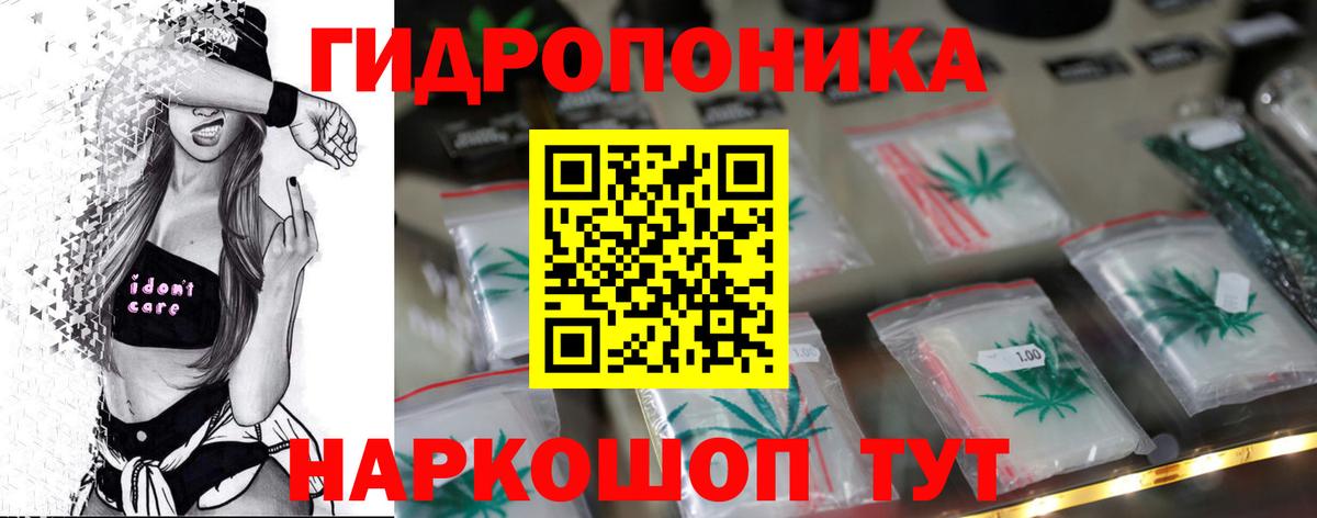 Бошки Шишки гибрид Новозыбков
