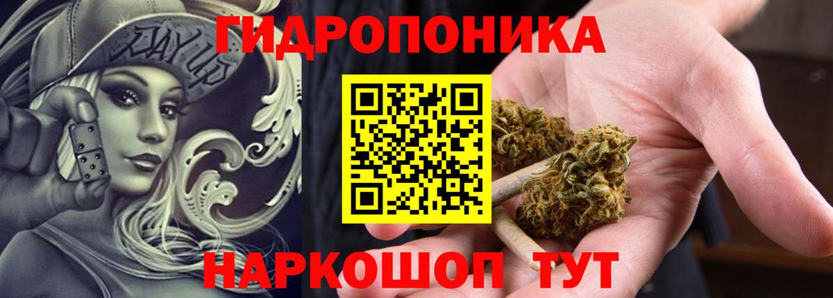 Бошки марихуана планчик  Бошки Шишки Amnesia  Бошки марихуана Bruce Banner  Вход с VPN  Шишки марихуана индика  Новозыбков 